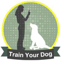 How To Training Dogs