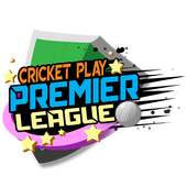 Cricket spielen Premier League
