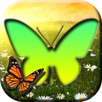 Butterfly Photo Frames on 9Apps