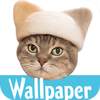 Wallpaper: Cats' Hair Hats