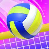Passion Volleyball 3D - Beach Volleyball 2019