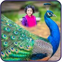 Peacock Photo Frames