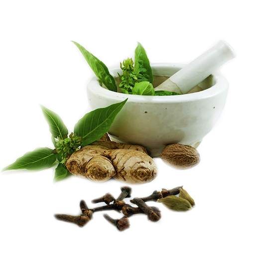 Natural Ayurvedic Remedies for Health