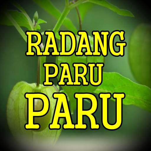 Ramuan Herbal Radang Paru Paru Paling Alami