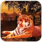 Tiger Photo Montage on 9Apps