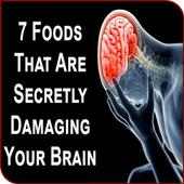 Foods Harmful For Human Brain on 9Apps