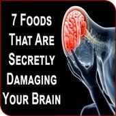 Foods Harmful For Human Brain