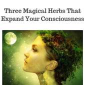 Expand Your Consciousness on 9Apps