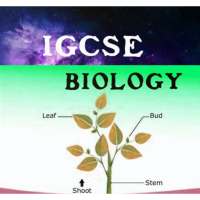 IGCSE biology notes