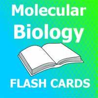 ASCP MB Molecular Biology Flashcards