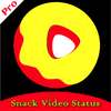 Snack Video: short video status Video Conference