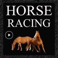 Horse Racing Videos
