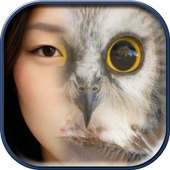 Animal Face Changer on 9Apps