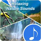 Mind Relaxing Sound Effects - Best Peaceful Music on 9Apps