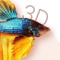 Betta Fish 3D Lite on 9Apps
