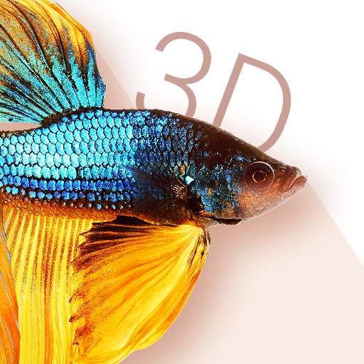 Betta Fish 3D Lite