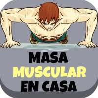 Masa Muscular En Casa