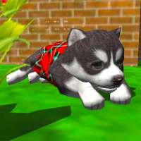 Cute Pocket Puppy 3D on 9Apps