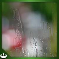 Rain droplets swirl on Window