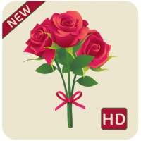 rose hd wallpapers 1080p