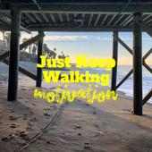 Just Keep Walking on 9Apps