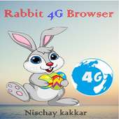 Rabbit 4G Browser