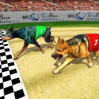Реальный турнир по собачьим гонкам