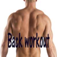 Back Workout!