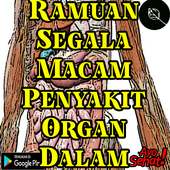 Ramuan Segala Macam Penyakit Organ Dalam on 9Apps