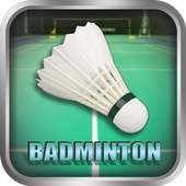 International Badminton Game - 3D Badminton League
