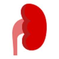 Kidney Stones on 9Apps
