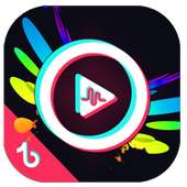 TikFans - Free Followers & Hashtags For Tiktok