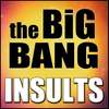 Big Bang Theory Insults