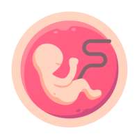 Pregnancy Symptoms - Pregnancy calculator on 9Apps