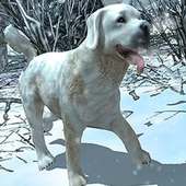 Vida De Perro de la nieve on 9Apps
