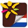 Visit Paraguay on 9Apps