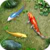 Water Koi Fish Pond LWP on 9Apps