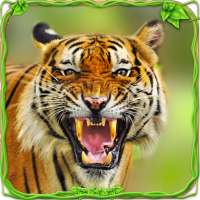яростный симулятор тигра 🐅 on 9Apps