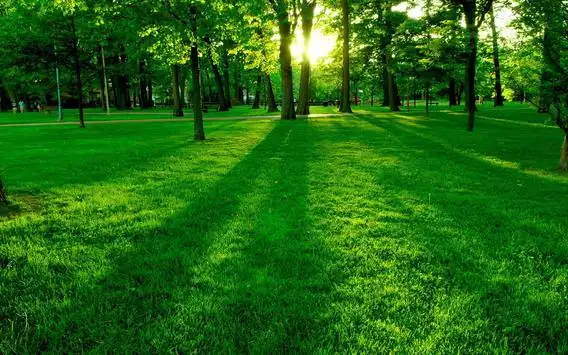 Descarga de la aplicación Fondos de pantalla de paisajes hermosos Hd 2023 - Gratis - 9Apps Descarga de la aplicación Fondos de pantalla de paisajes hermosos Hd 2023 - Gratis - 9Apps