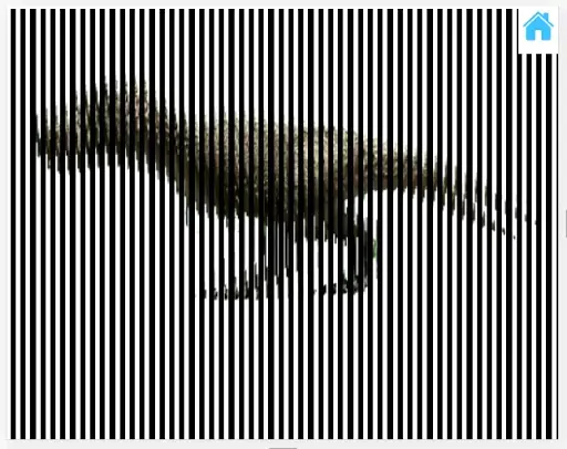 illusion animation scanner APK Download 2023 - Free - 9Apps