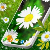 3D Daisy Spring Live Wallpaper on 9Apps