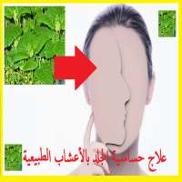علاج حساسية الجلد بالأعشاب الطبيعية