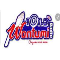Wontumi Radio on 9Apps