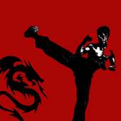 Fist Of Fury Kung Fu Workout on 9Apps