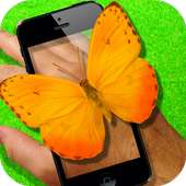 Butterfly on hand Camera Prank