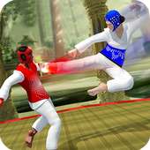 Taekwondo Fighting