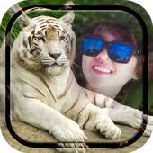 White Tiger Photo Frames on 9Apps