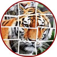 Tiger Puzzle