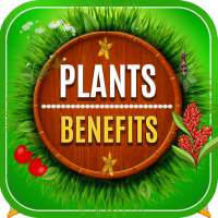 Medicinal Plants and their Benefits