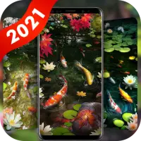 Koi Pond Live Wallpaper Themes App لـ Android Download - 9Apps